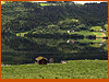 RP 599 - International Comparative Rural Policy